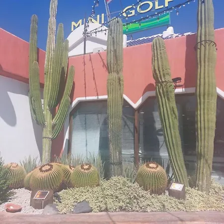 Margarita Con Piscina En Playa Honda, Playa Americas * Арона